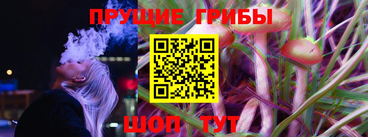 Алушта  Псилоцибиновые грибы мицелий  где купить   Вход с VPN 